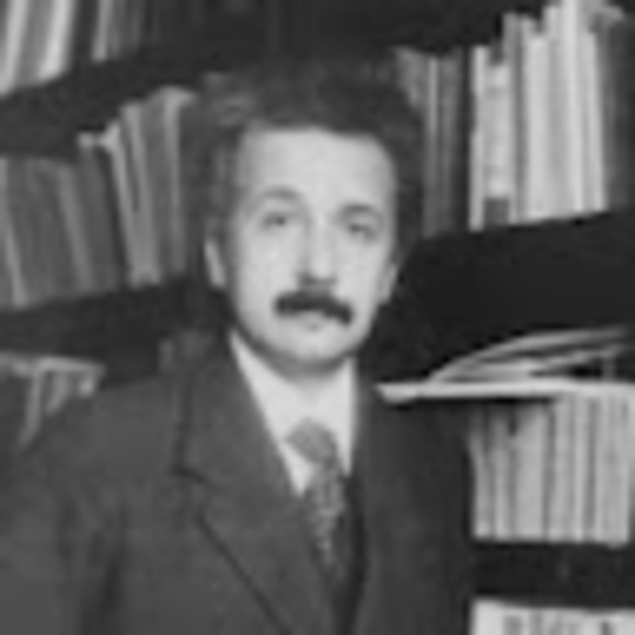 Meet your Posher, Logan - Picture 1 of 1